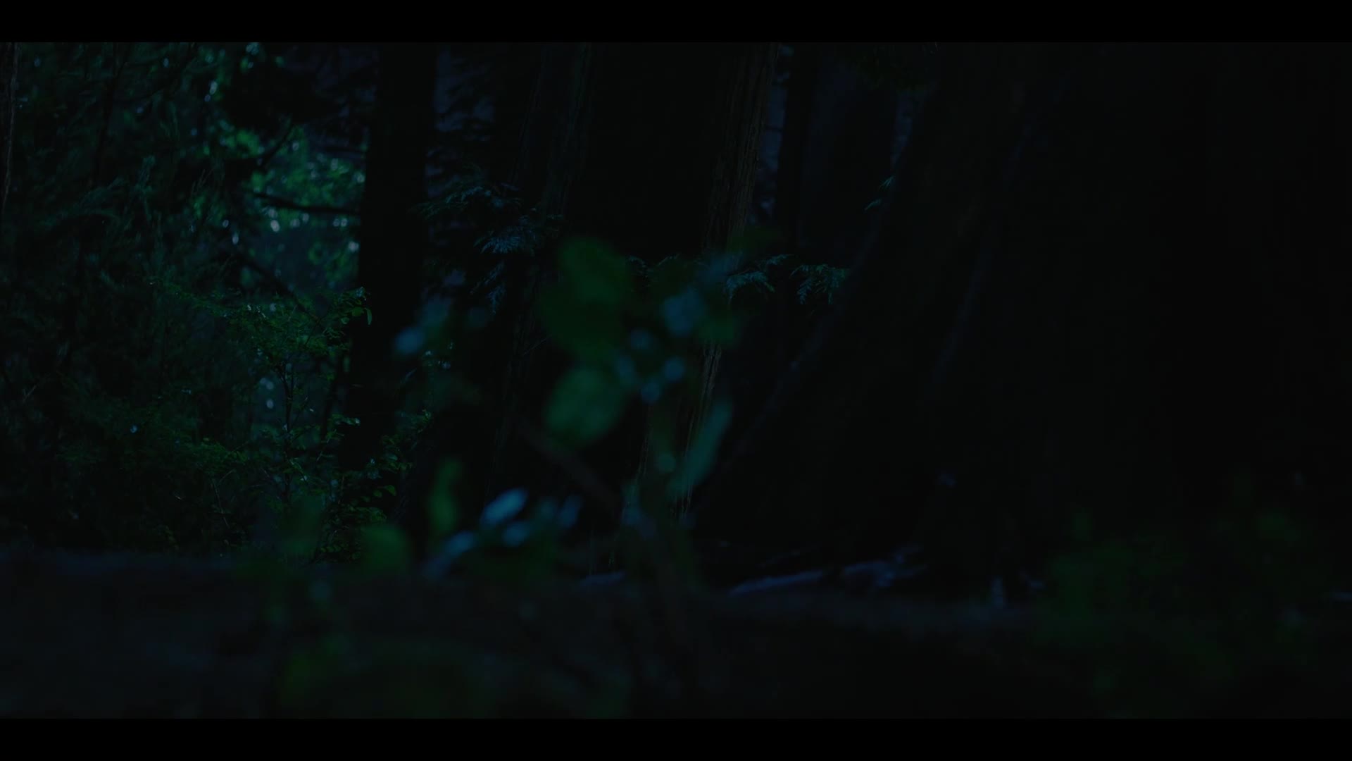 Živel S01E06 Všechny stopy vedou sem {2025} krimi thriller mysteriózní czdab mkv