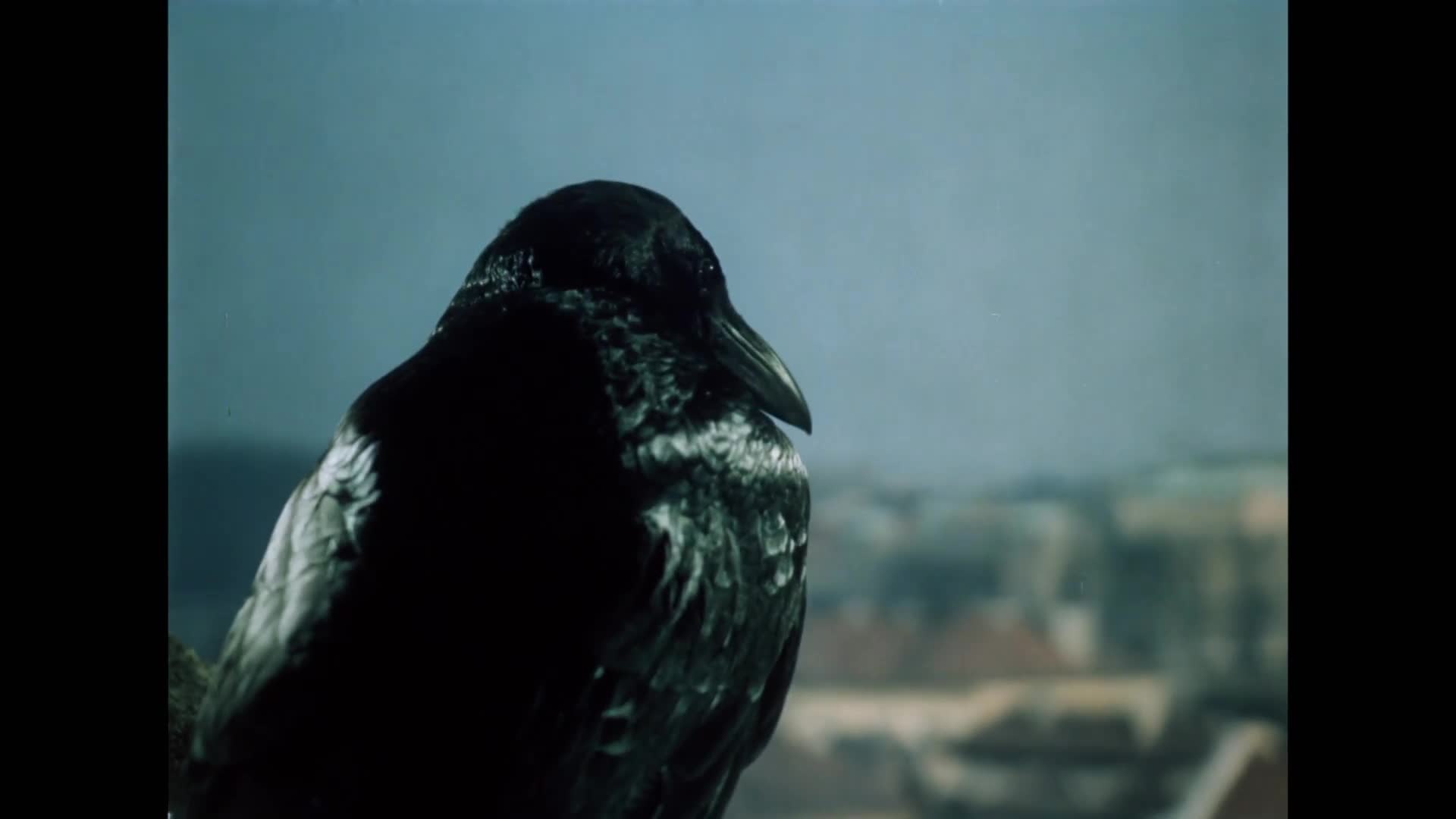 Rumburak {1984} pohádka, komedie 1080p mkv