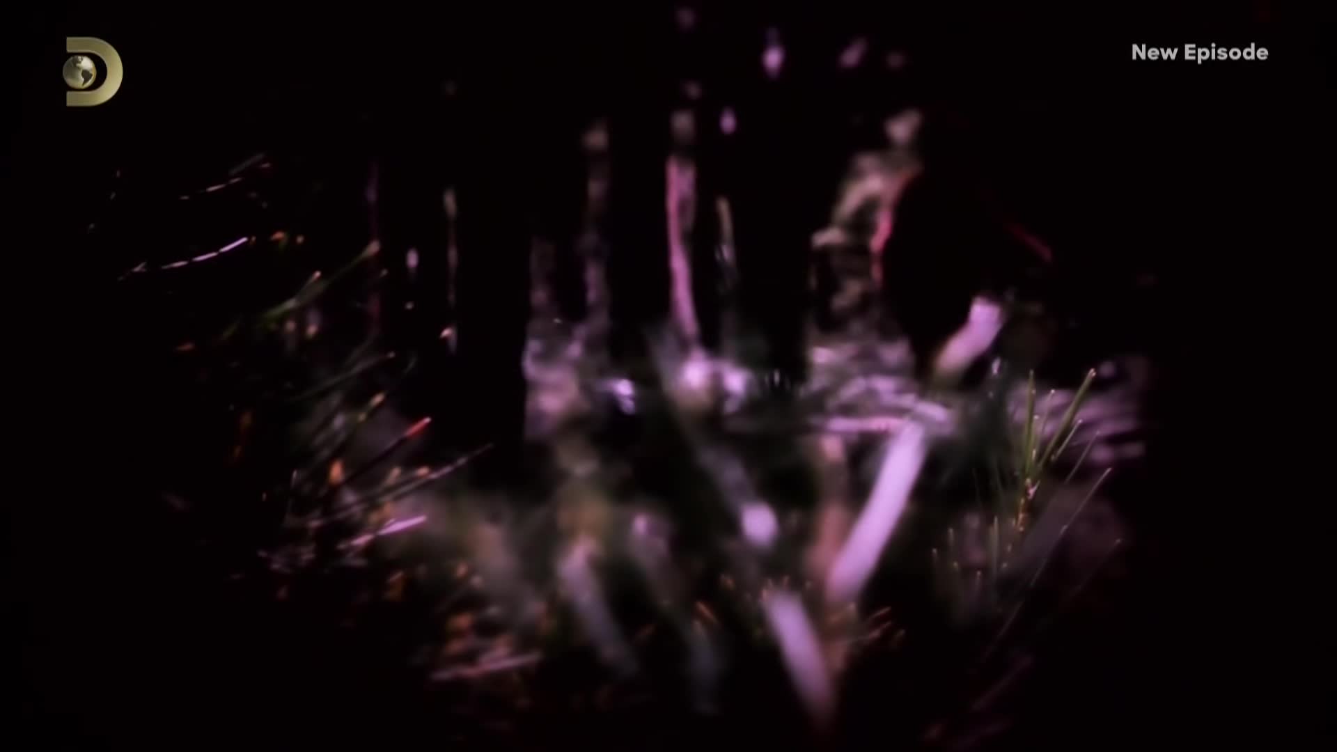 Expedice X S05E02 11 2022 CZ dab 1080p Tady je ale hluk mkv