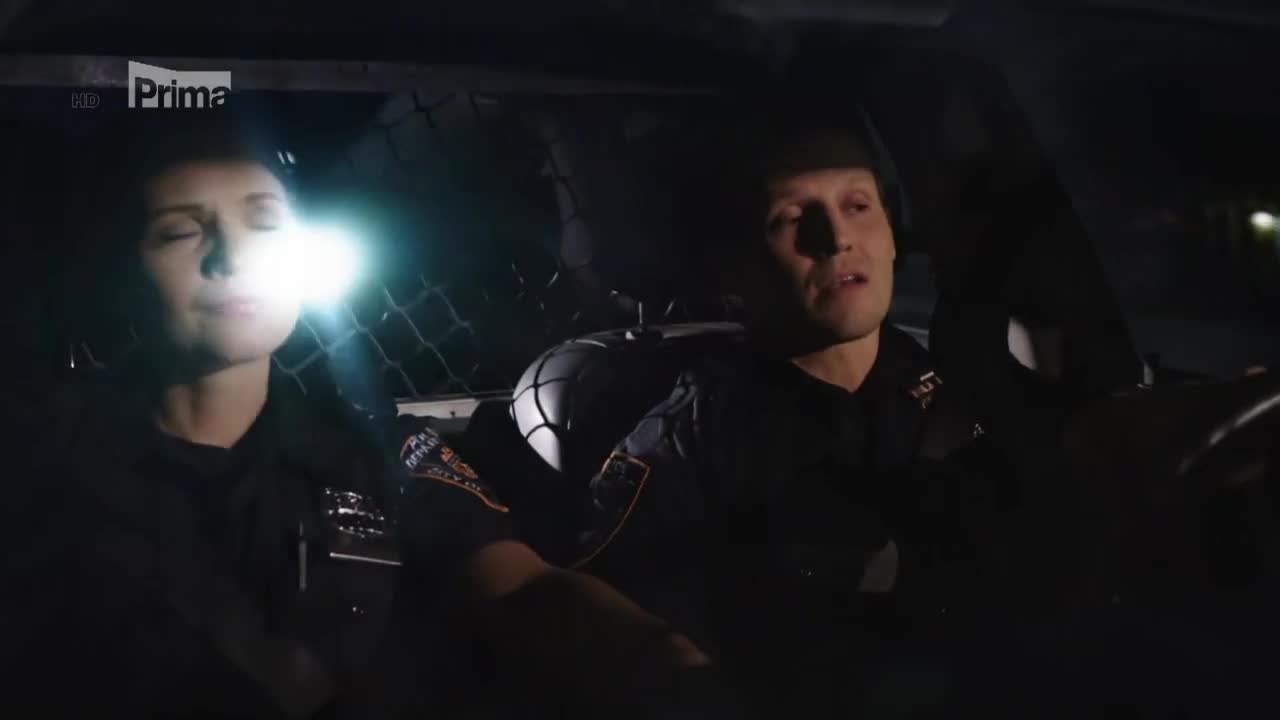 Spravedlnost v krvi (Blue Bloods) S08E03 Duchové minulosti mp4