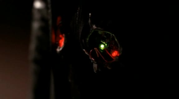 Andromeda 2x06 Až příliš lidská cz tit mkv