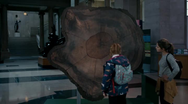 Doctor Who s08e10 In the Forrest of the Night mkv