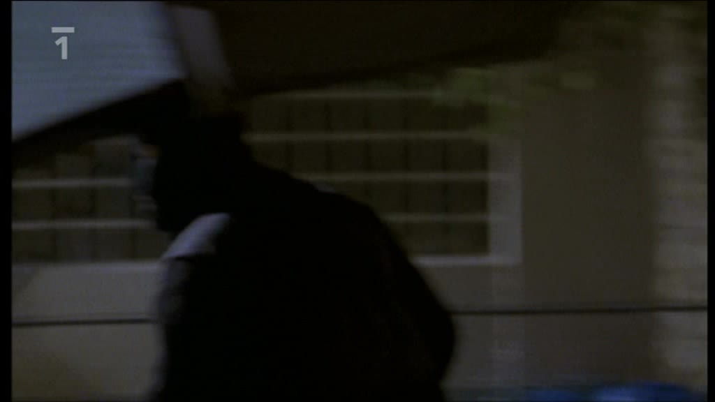 Komisař Moulin 06 08 Čtyřnohé komando avi