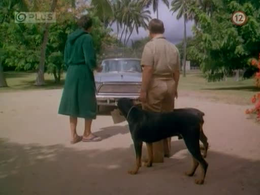 Magnum (Magnum P I ) S05E13 Profesor Jonathan Higgins mkv