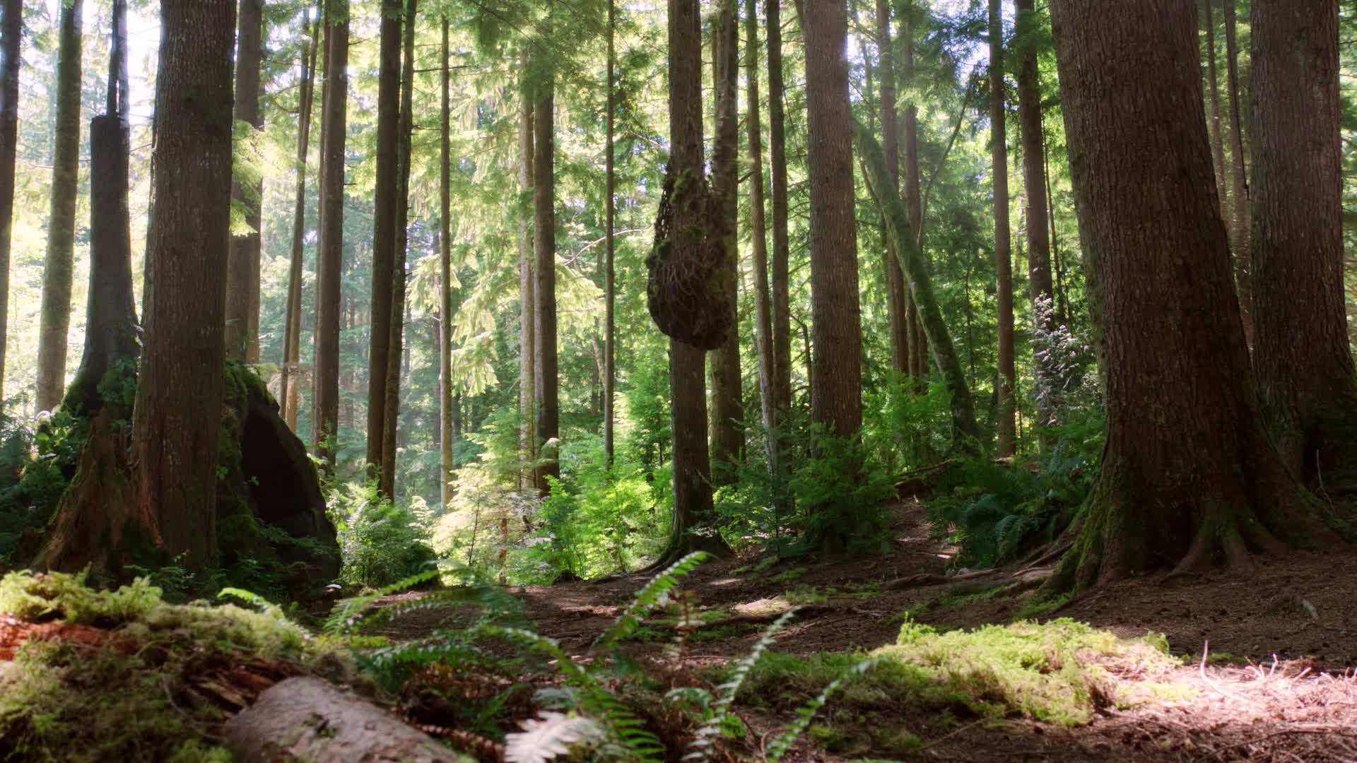 Bylo, nebylo S03E22 22 2013 CZ dab 1080p Všude dobře, doma nejlíp mkv