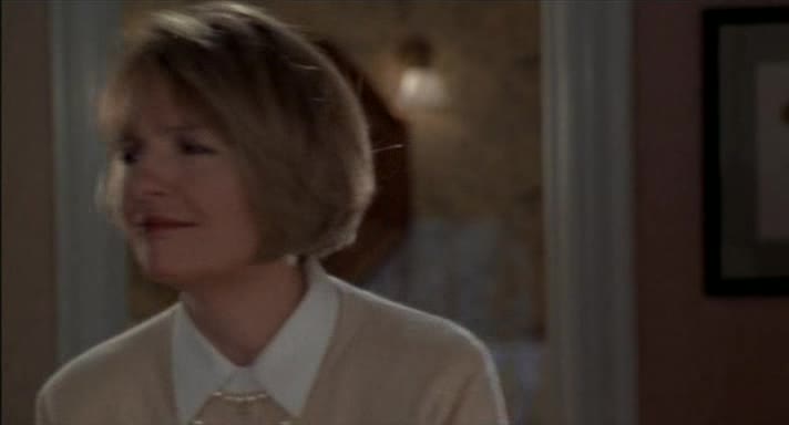 Hlava rodiny 2 =1995 CZ avi