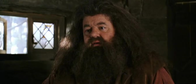 Harry Potter 2 Tajemna komnata DVDRip XviD CZ Dabing.avi