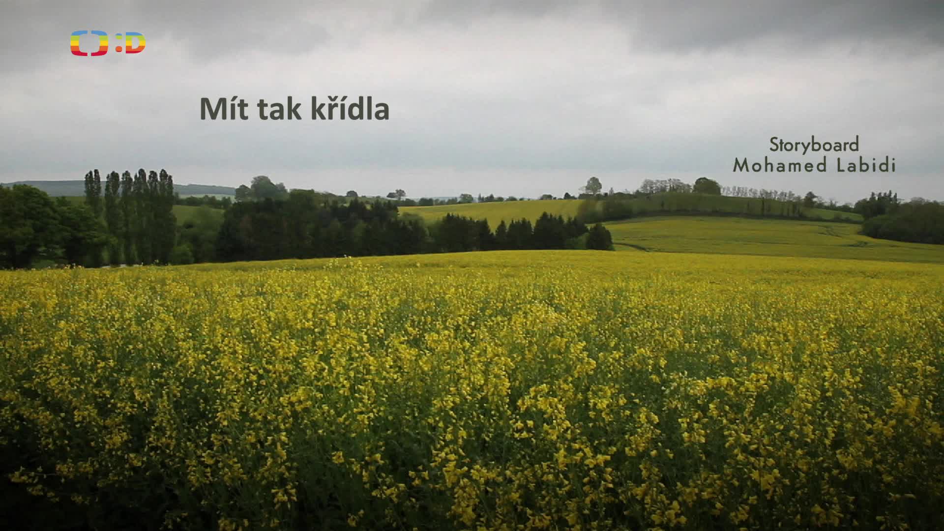 Mrnouskove S02E01 Mit tak kridla [Sans elytres] (cz 1080p) mp4