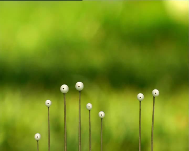 Minuscule S01 A Rolling Snail Gathers No Moss (en 576p) mp4