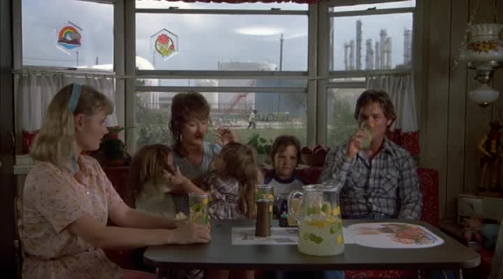 Silkwoodova =1983,, CZ avi