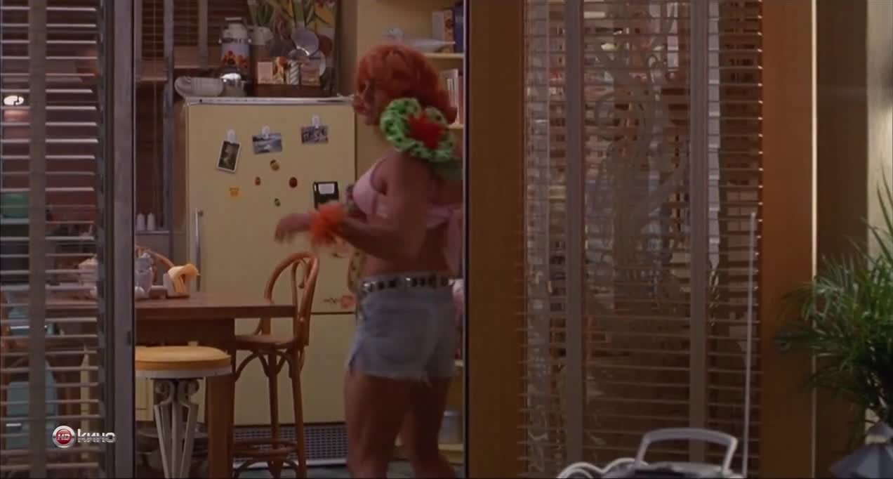 Ptačí klec 1996 CZ dabing HD mp4