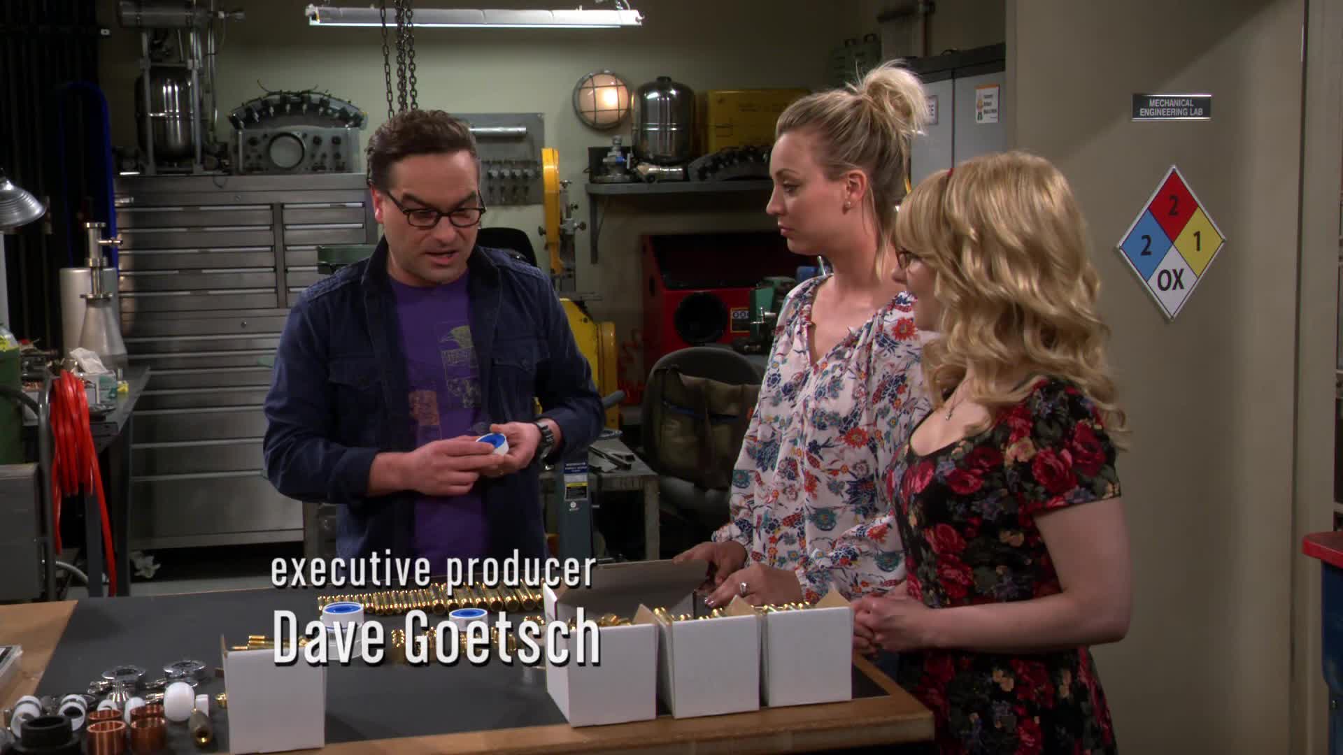 Teorie velkého třesku S09E19 24 2015 CZ dab 1080p Zmaření plánované pomsty mkv