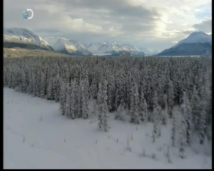 Aljaska posledni divocina 100 SD Zijeme na okraji divociny mkv