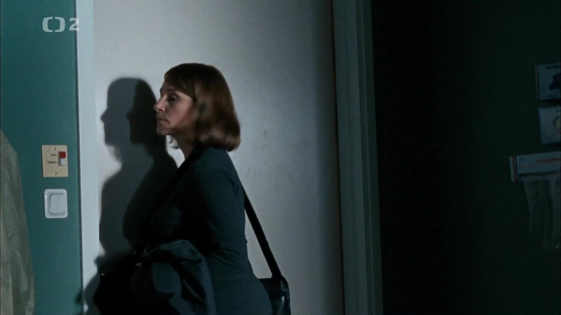 Milénium E03 Dívka, která kopla do vosího hnízda {2009} akční, krimi, mysteriózní 1080p CZ dabing mkv