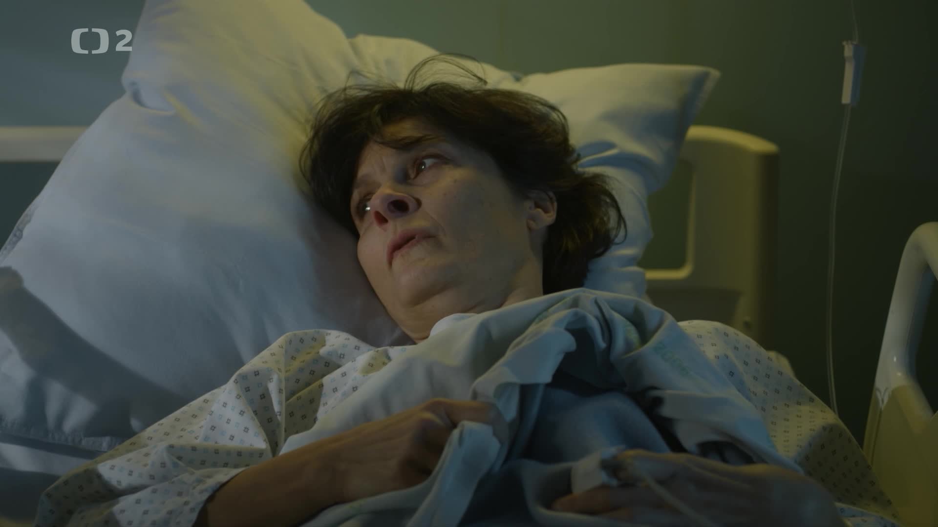 Balthazar S02E03 10 2019 CZ dab 1080p Chladná krev mkv