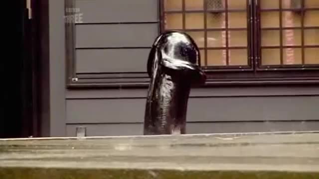 Japanorama S03E02 Ai and Koi (Love and Romance) mp4