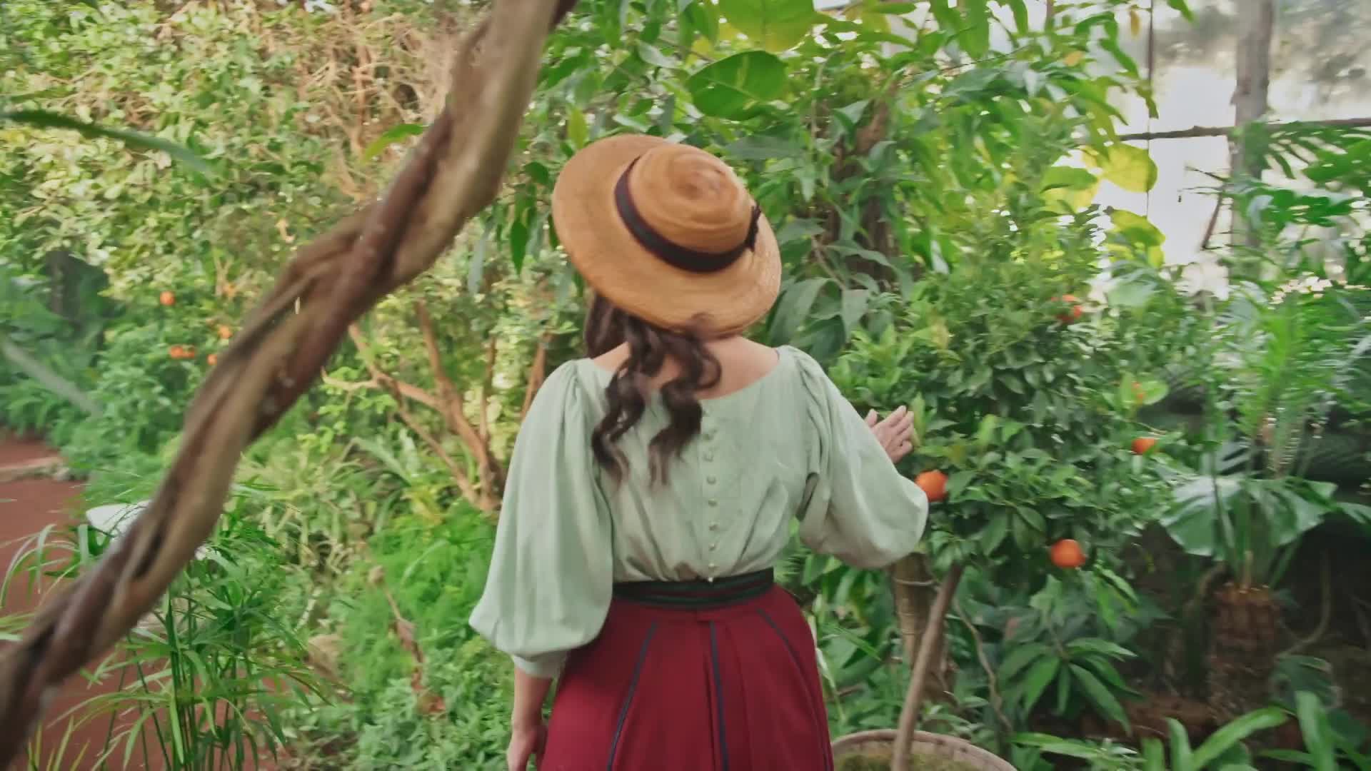 Cukrkandl 2025 CZ film HD 1080p mkv