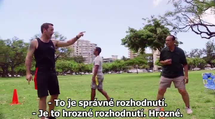 Hawaii 5 0 S09E08 Ptáci s peřím CZ tit avi