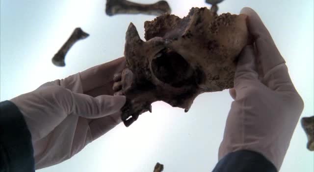 Sběratelé kostí s04e11 Kost ktera vybuchla avi