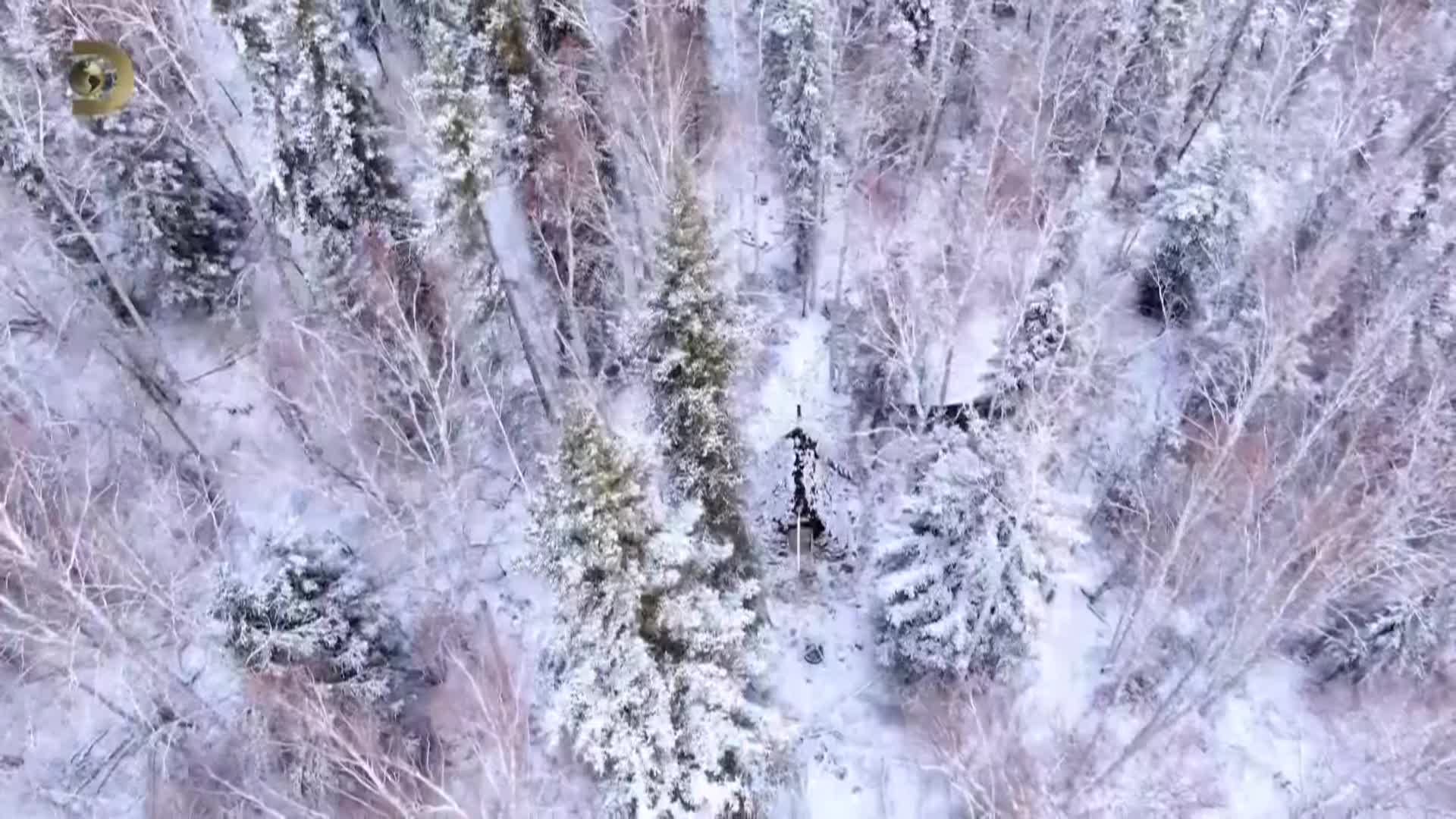 100 dní v divočině S01E06 08 2020 CZ dab 1080p Prichazi mraz mkv