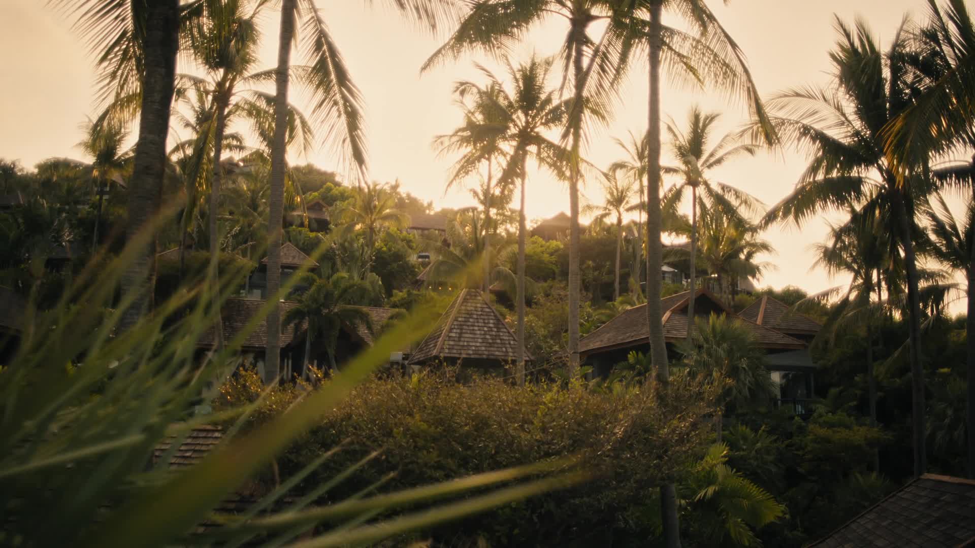 Bílý lotos   The White Lotus S03E06 2025 CZ dabing HD 1080p mkv