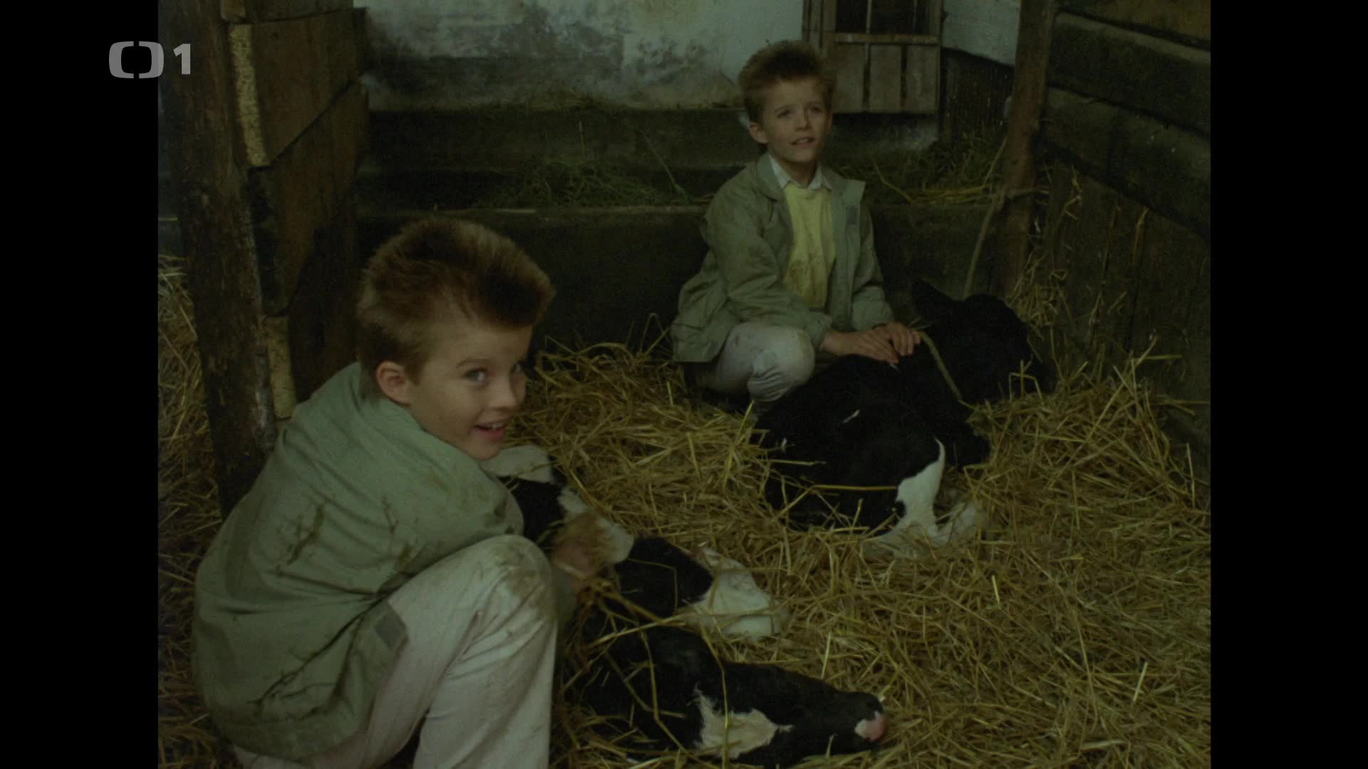 Dva lidi v ZOO [1989 Cz] (cz 1080p) ts