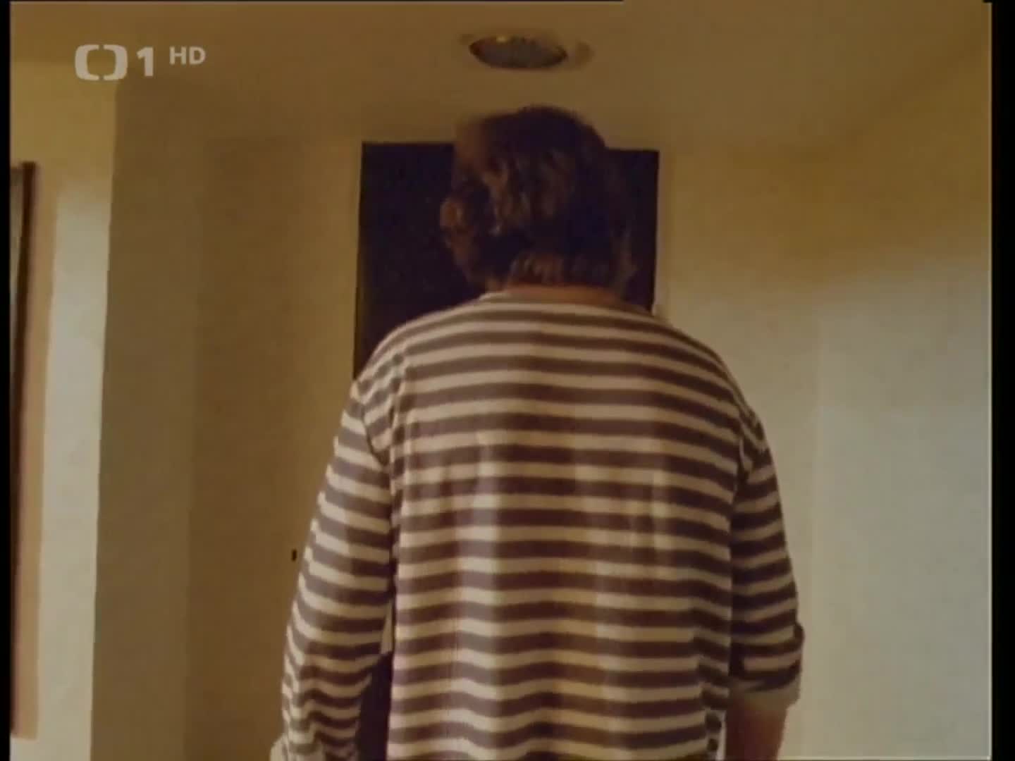 Na dvoře je kůň, šéfe 1989 CZ dab 1080p mp4