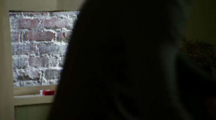 Hříšníci S01E10 Nana Gallagher Had an Affair (2011) komedie czdab mkv