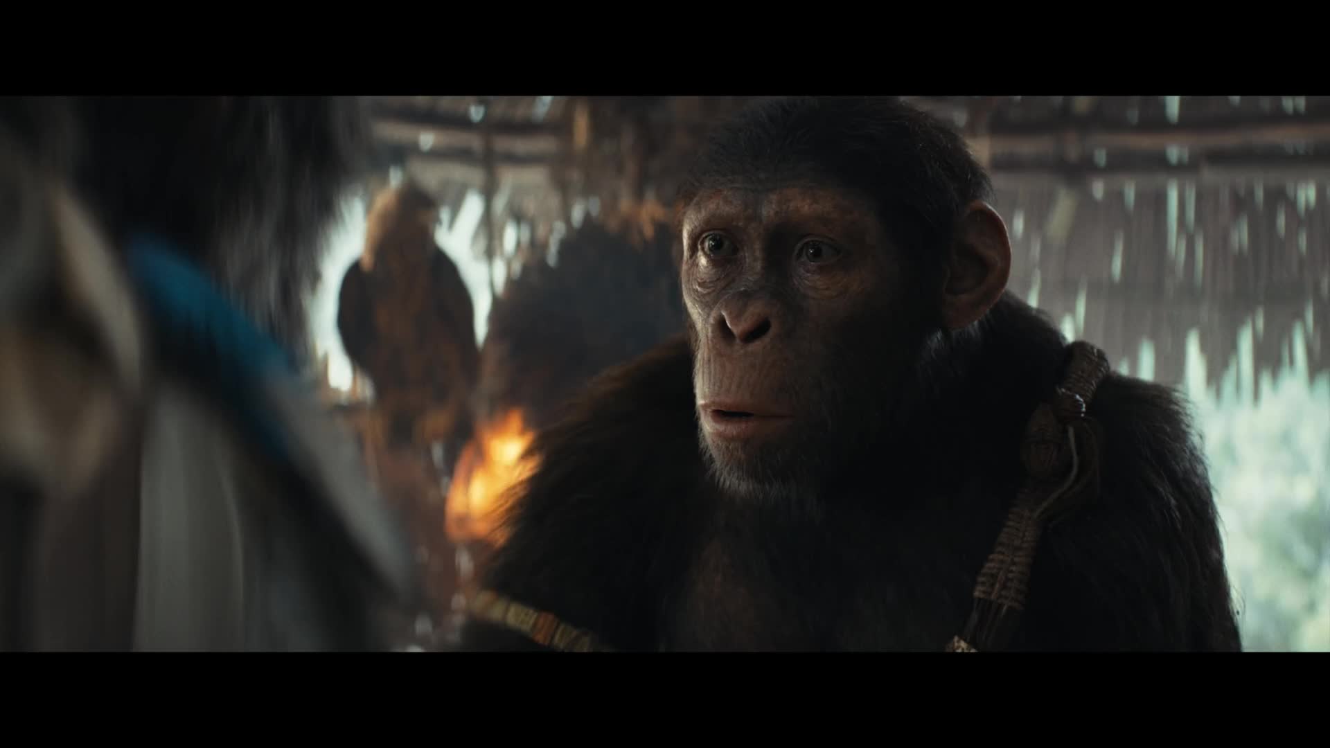 Království Planeta opic 2024 CZ dab 1080p mkv