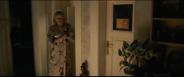 Kráska v nesnázích 2006 avi