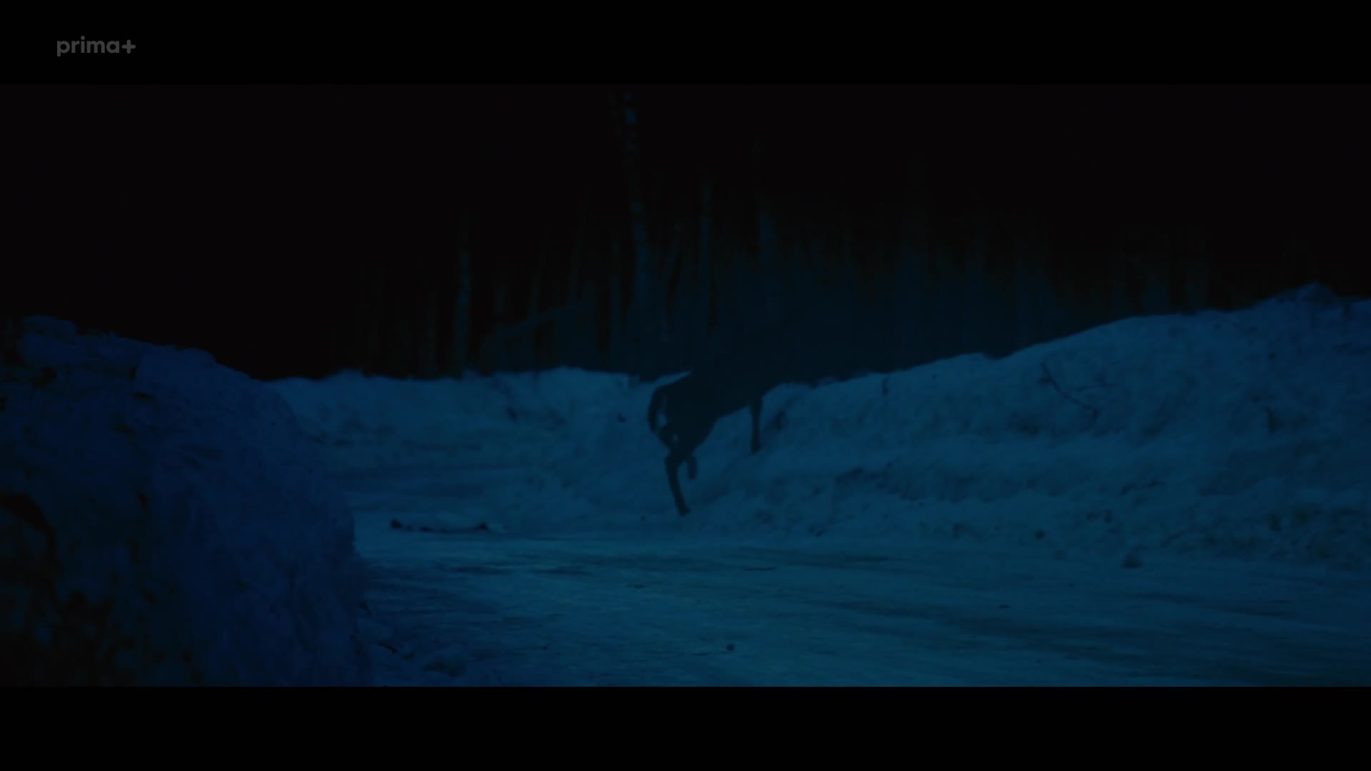 Temná řeka S01E06 {2017} krimi, drama 1080p CZ dabing mkv