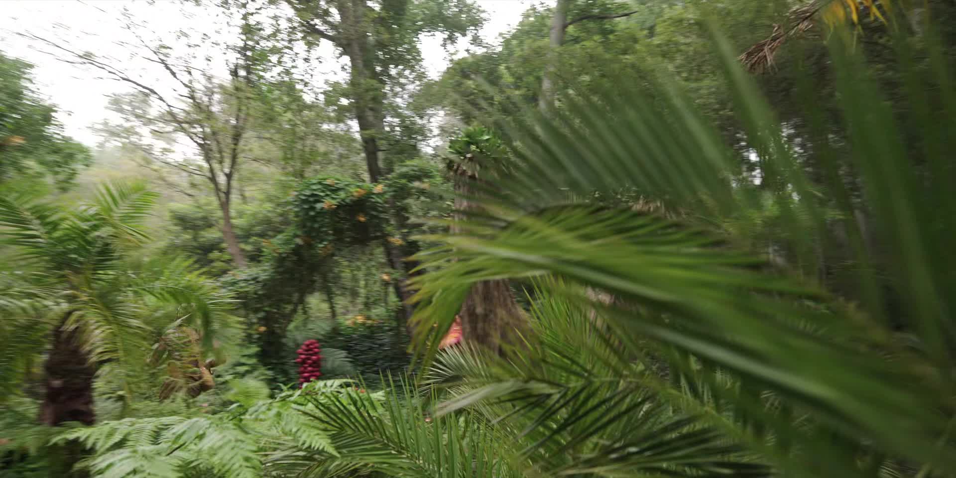 One Piece S02E05 08 2026 CZ dab 1080p Navoskovat a rozetřít mkv