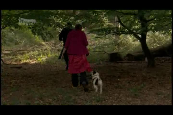 Vraždy v Midsomeru s14 089 Bílá a černá labuť avi