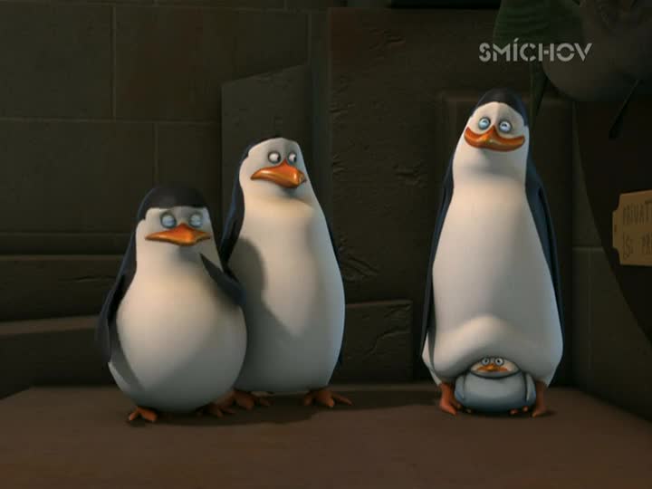 Tučňáci z Madagaskaru S02E26 Malý velký velící Hladový a hadový mp4