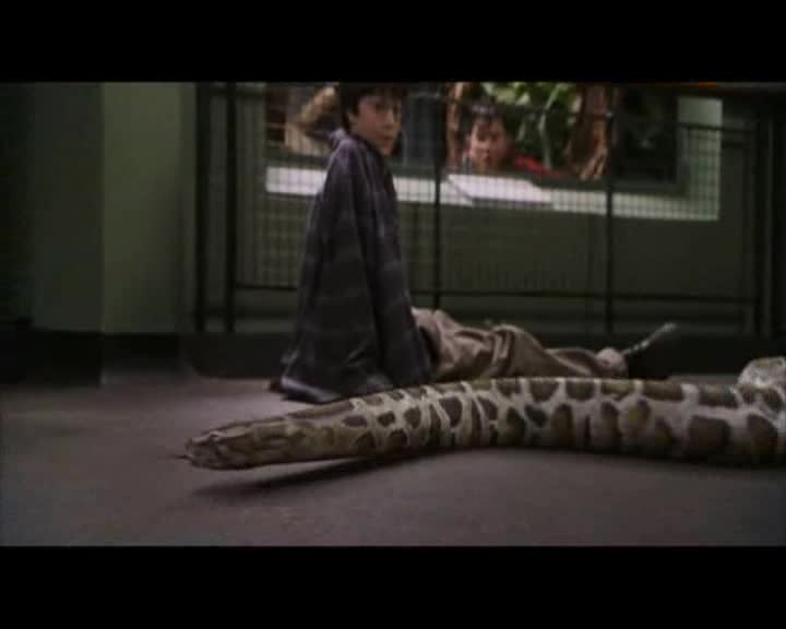 Harry Potter 1 a Kamen mudrcu  2001 DVD CZ.avi