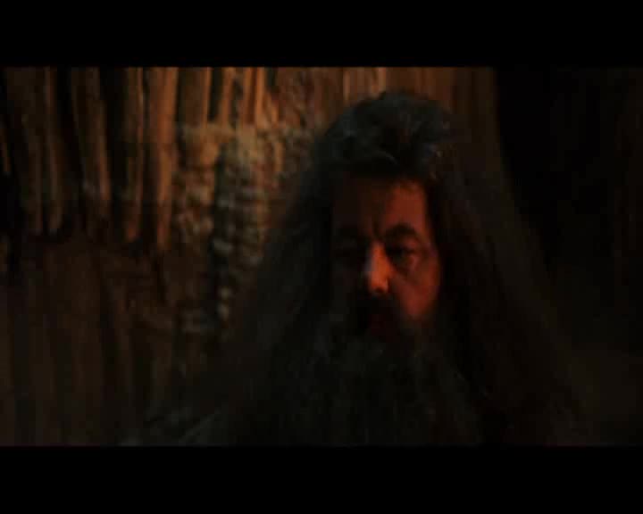 Harry Potter 1 a Kamen mudrcu  2001 DVD CZ.avi