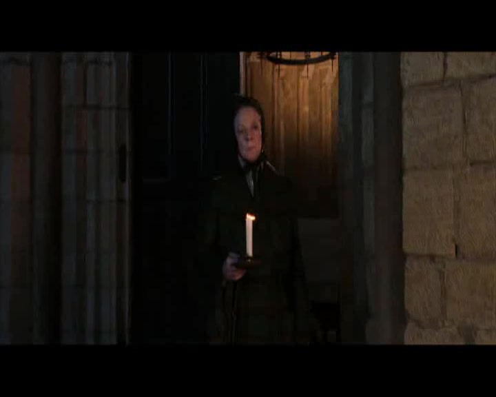 Harry Potter 1 a Kamen mudrcu  2001 DVD CZ.avi