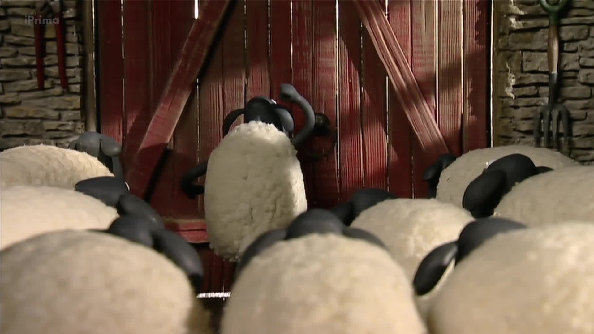 Ovecka Shaun S01E25 Farmarka Shaun [Shaun the Farmer] (cz 1080p) mp4
