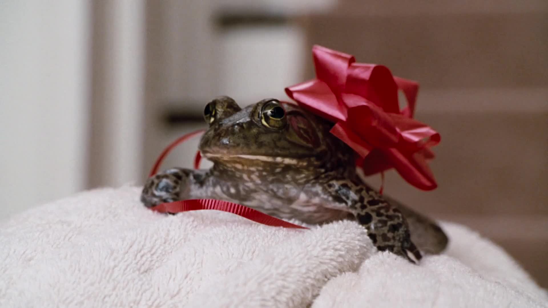 Postrach Denis opäť zasahuje (1998) SK dabing HD mp4