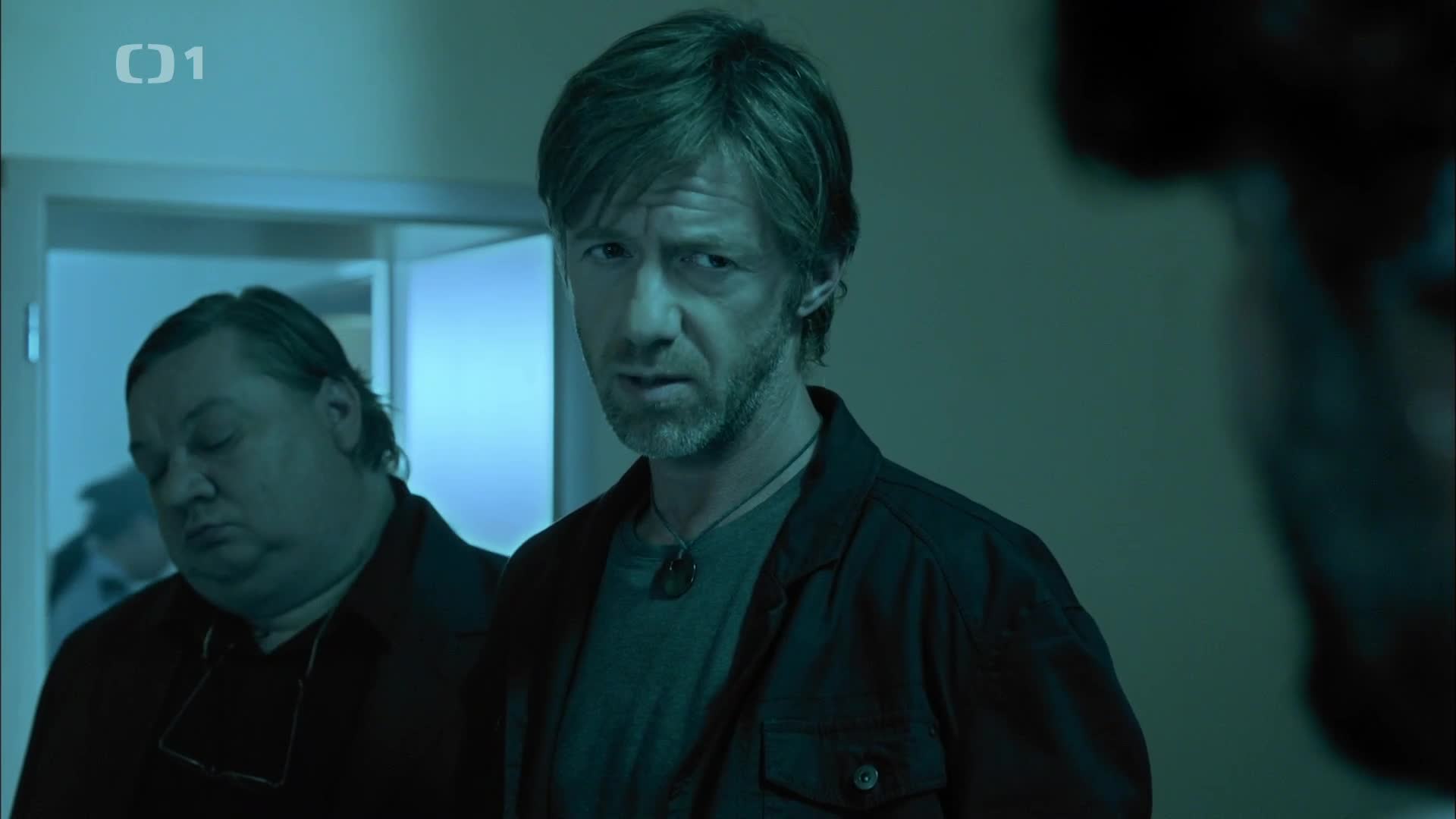 Ženy, které nenávidí muže {2013} krimi 1080p mkv