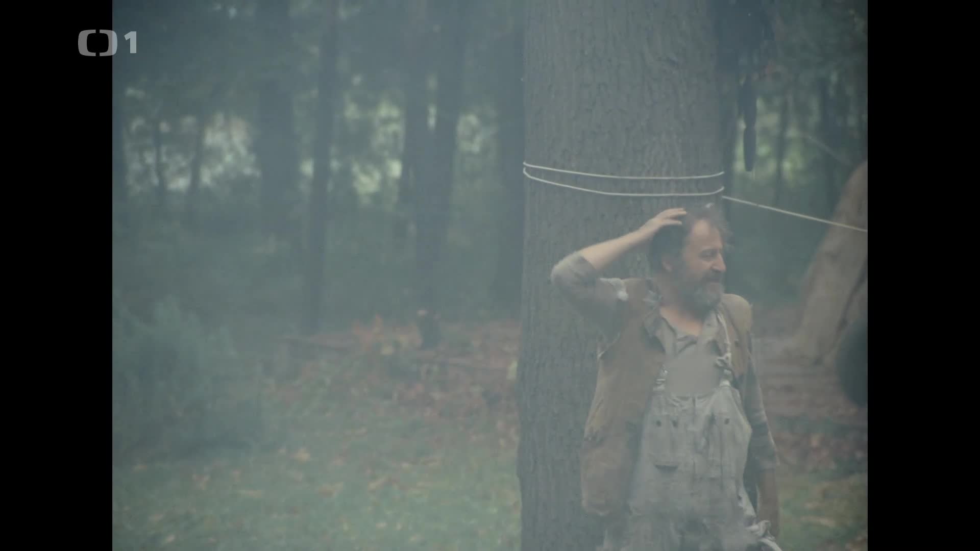 Slavnosti sněženek {1983} komedie mkv