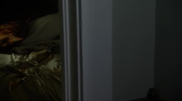 Tikot hodin CZ dab 2011 DVDRip XviD avi