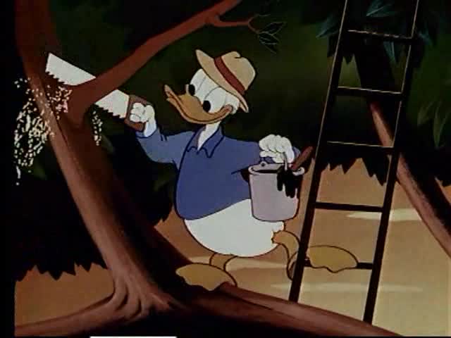 Donald Duck 1950 Out On A Limb avi