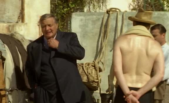 Maigret 35 Můj přítel Maigret avi