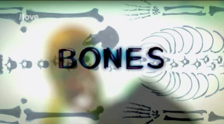 Sběratelé kostí 08x20 Krvavé diamanty avi