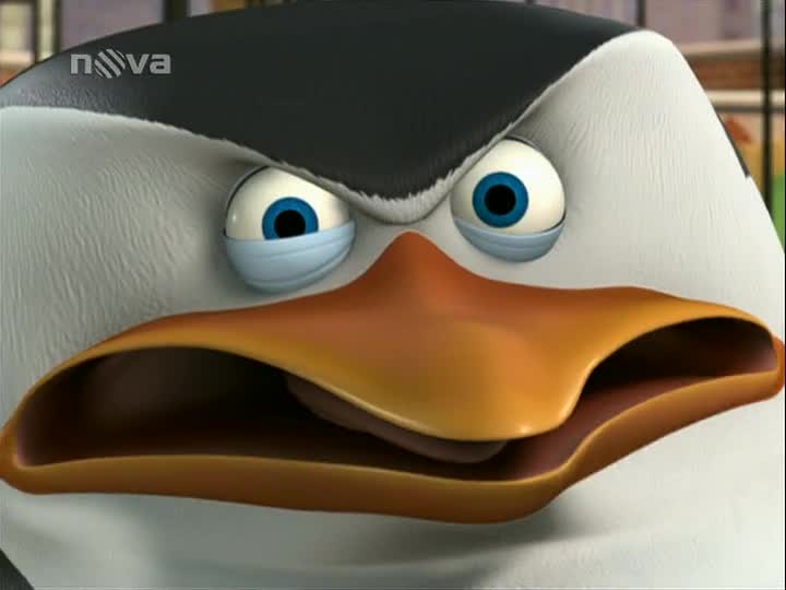 Tučňáci z Madagaskaru S01E09 Na ryby Zázrak na ledě mp4