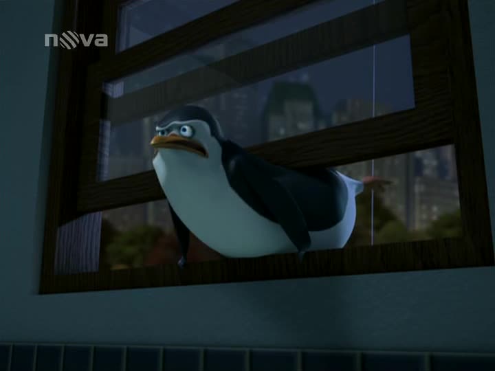 Tučňáci z Madagaskaru S02E07 Operace ber berana Tvrďák Vejca mp4