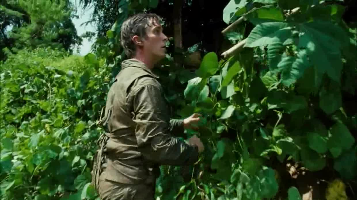 Temný úsvit =2006, CZ avi