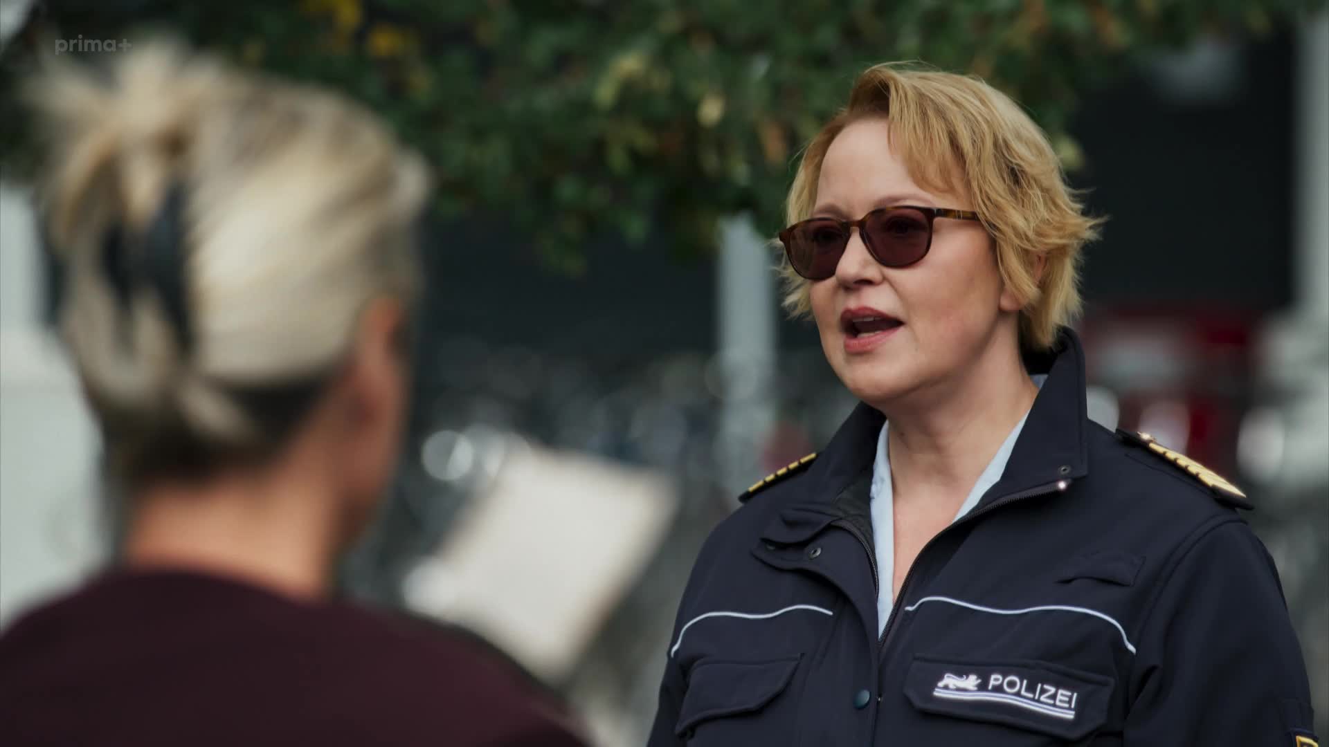 Pobřežní stráž S07E10 20 2022 CZ dab 1080p Staré železo mp4