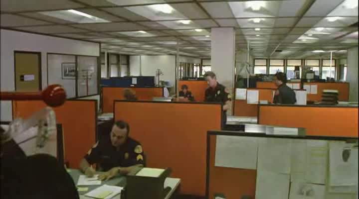Kočka a pes =1982 CZ avi